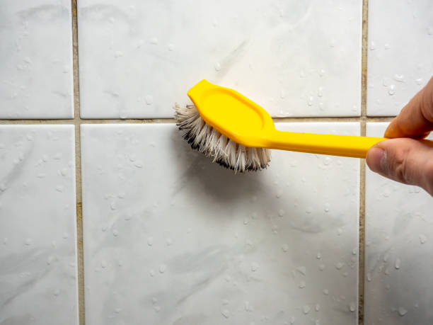 Best Mold Testing  in Collinsville, VA
