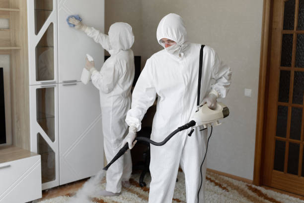 Best Residential Mold Removal  in Collinsville, VA
