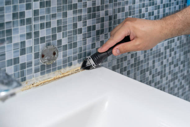 Best Local Mold Removal Service  in Collinsville, VA