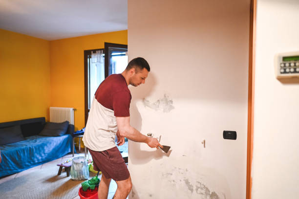 Best Office Mold Removal Services  in Collinsville, VA